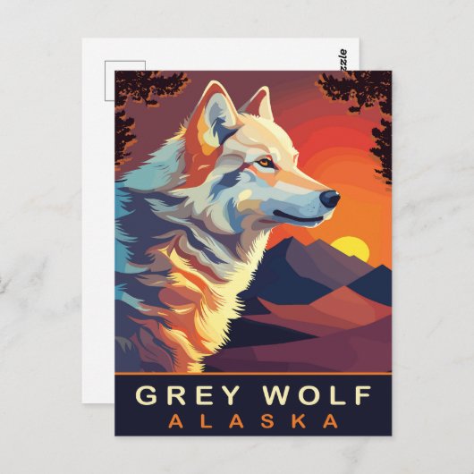 Grauer Wolf, Alaska, Sonnenuntergang auf den Berge Postkarte (Vorne/Hinten)