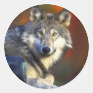 Grauer Wolf, Arten-Digitalfotografie Runder Aufkleber