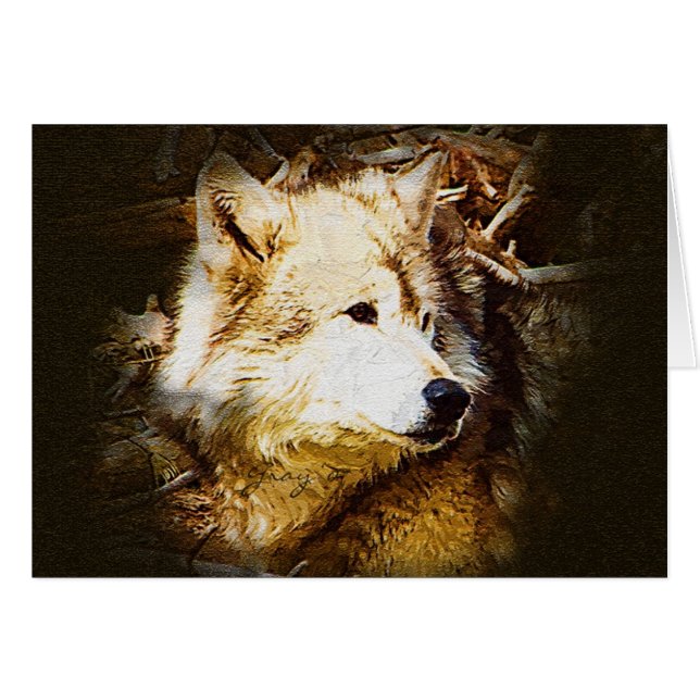 Grauer Wolf-Aufpassen (Vorderseite (Horizontal))