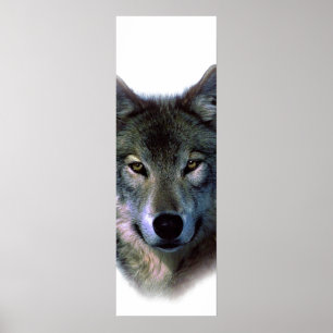 Grauer Wolf Augen Motivierend Door Poster