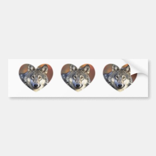Grauer Wolf Autoaufkleber (Vorne)