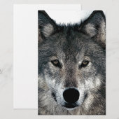 Grauer Wolf Briefpapier (Vorne/Hinten)