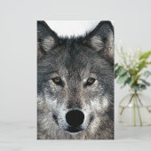 Grauer Wolf Briefpapier (Stehend Vorderseite)