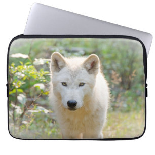 Grauer Wolf, Calm Canine Animal Fotografy Laptopschutzhülle