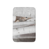 Grauer Wolf (Canis Lupus) hinter Baum Badematte (Vorderseite Vertikal)