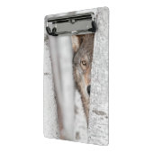 Grauer Wolf (Canis Lupus) hinter Baum Mini Klemmbrett (Gewinkelt2)