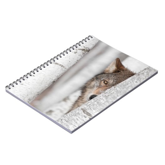 Grauer Wolf (Canis Lupus) hinter Baum Notizblock (Linke Seite)