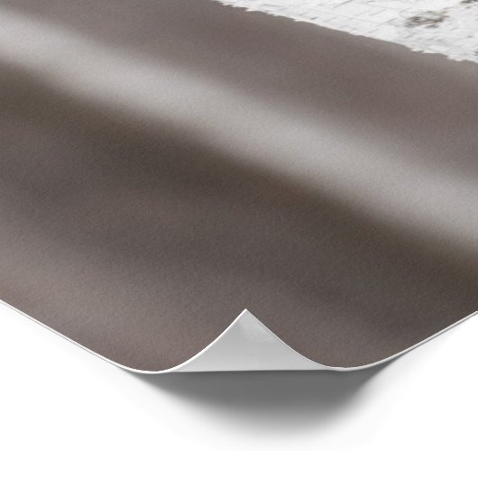 Grauer Wolf (Canis lupus) Hinter Bäume Poster (Ecke)