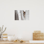 Grauer Wolf (Canis lupus) Hinter Bäume Poster (Küche)