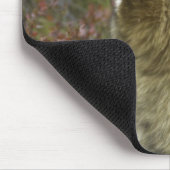 Grauer Wolf (Canis Lupus) Mousepad (Ecke)