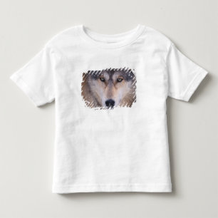 Grauer Wolf, Canis lupus, Nahaufnahme der Augen Kleinkind T-shirt