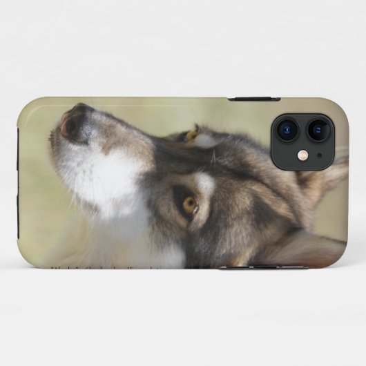Grauer Wolf Case-Mate iPhone Hülle (Rückseite (Horizontal))