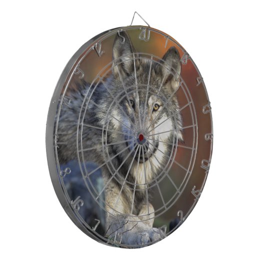 Grauer Wolf Dartscheibe (Vorderseite Links)