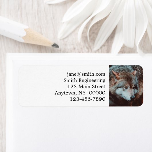 Grauer Wolf, der in den Wald schaut (Insitu)