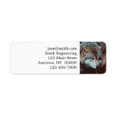 Grauer Wolf, der in den Wald schaut (Vorne)