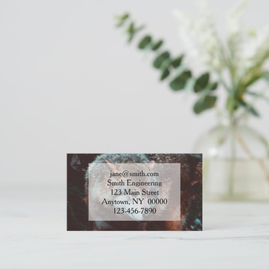 Grauer Wolf, der in den Wald schaut Visitenkarte (Stehend Vorderseite)