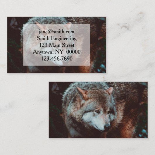 Grauer Wolf, der in den Wald schaut Visitenkarte (Vorne/Hinten)