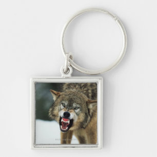 Grauer Wolf der Verwirrung Schlüsselanhänger