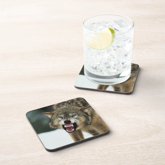 Grauer Wolf der Verwirrung Untersetzer (Rechte Seite)