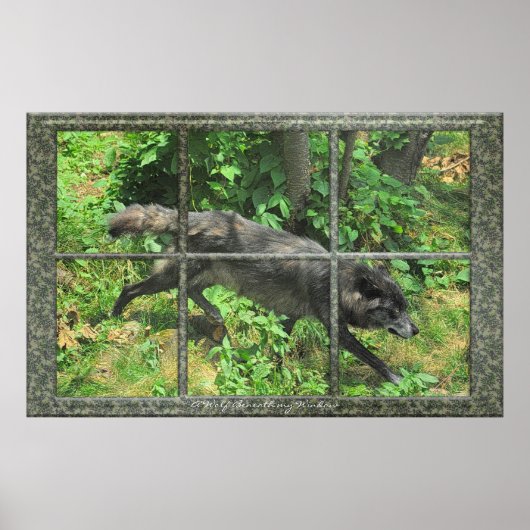 Grauer Wolf durch ein Art-Poster Poster (Vorne)