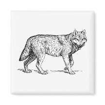 Grauer Wolf Elegante Tinte Zeichnend