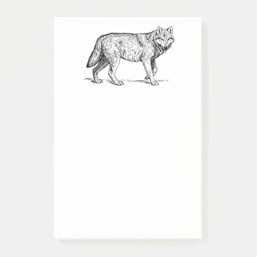 Grauer Wolf Elegante Tinte Zeichnend Post-it Klebezettel (Vorderseite)
