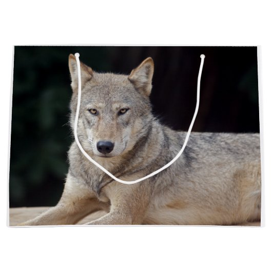 Grauer Wolf-Geschenk-Tasche Große Geschenktüte (Vorderseite)