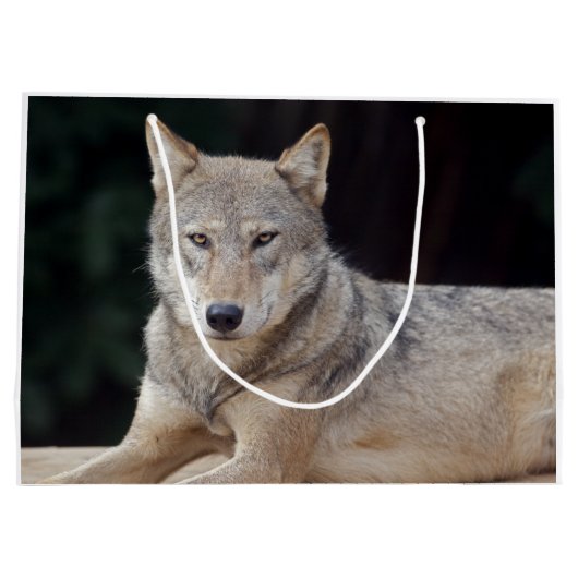 Grauer Wolf-Geschenk-Tasche Große Geschenktüte (Rückseite)
