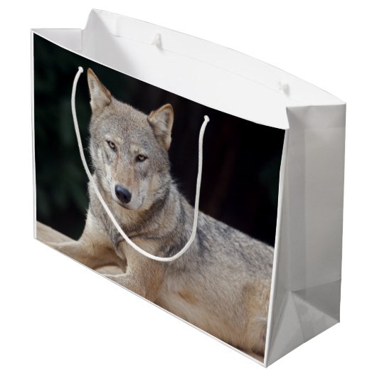 Grauer Wolf-Geschenk-Tasche Große Geschenktüte (Rückseite Schrägansicht)