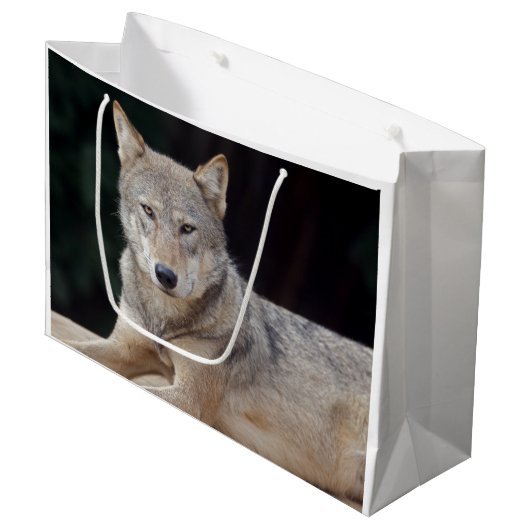 Grauer Wolf-Geschenk-Tasche Große Geschenktüte (Vorderseite Schrägansicht)