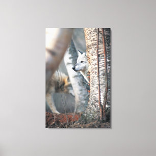 Grauer Wolf hinter Baum Leinwanddruck
