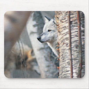 Grauer Wolf hinter Baum Mousepad