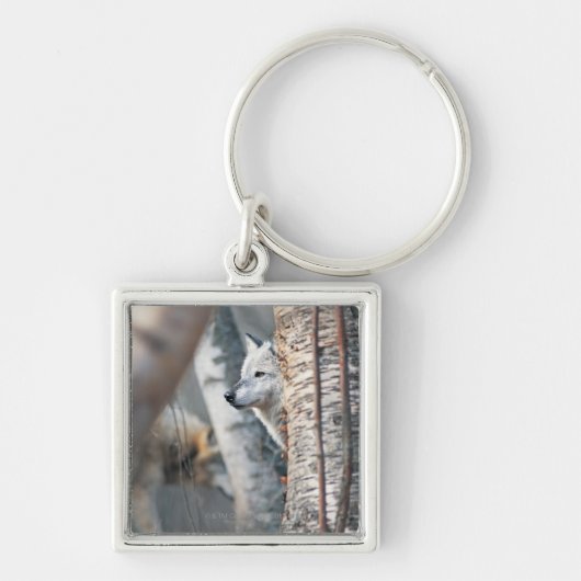 Grauer Wolf hinter Baum Schlüsselanhänger (Vorne)
