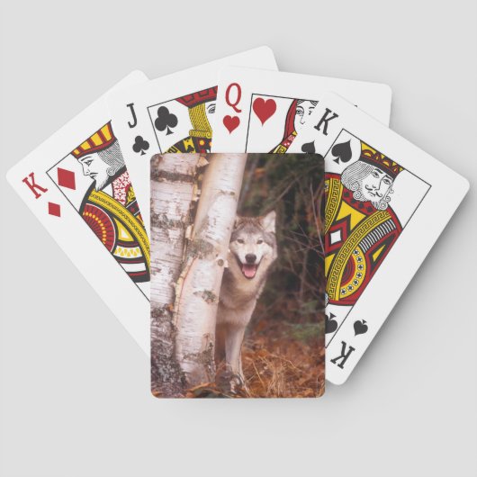 Grauer Wolf hinter einem Baum Spielkarten (Rückseite)