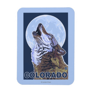 Grauer Wolf HowlingColorado Magnet