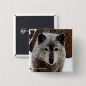 Grauer Wolf im Schnee Button (Vorne & Hinten)