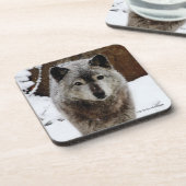 Grauer Wolf im Schnee Getränkeuntersetzer (Linke Seite)