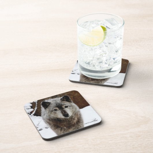 Grauer Wolf im Schnee Getränkeuntersetzer (Rechte Seite)