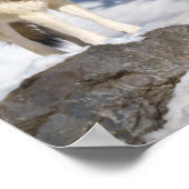Grauer Wolf im Schnee Poster (Ecke)
