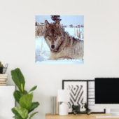 Grauer Wolf im Winter Poster (Heimbüro)