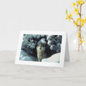 Grauer Wolf in der Schnee-Foto-Karte Karte (Gelbe Blume)