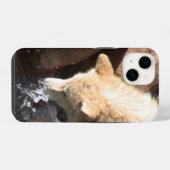 Grauer Wolf Iphone-Hülle iPhone Hülle (Rückseite (Horizontal))