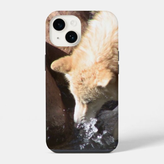 Grauer Wolf Iphone-Hülle iPhone Hülle (Rückseite)