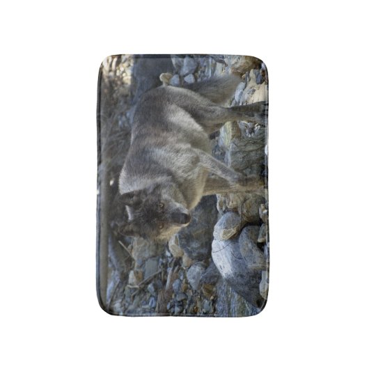 Grauer Wolf Jagen in einem Dry River Bed Badematte (Vorderseite Vertikal)