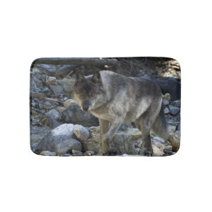 Grauer Wolf Jagen in einem Dry River Bed Badematte
