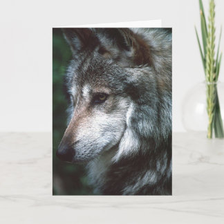 Grauer Wolf Karte