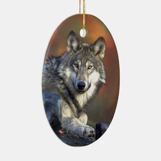 Grauer Wolf Keramik Ornament (Rechts)