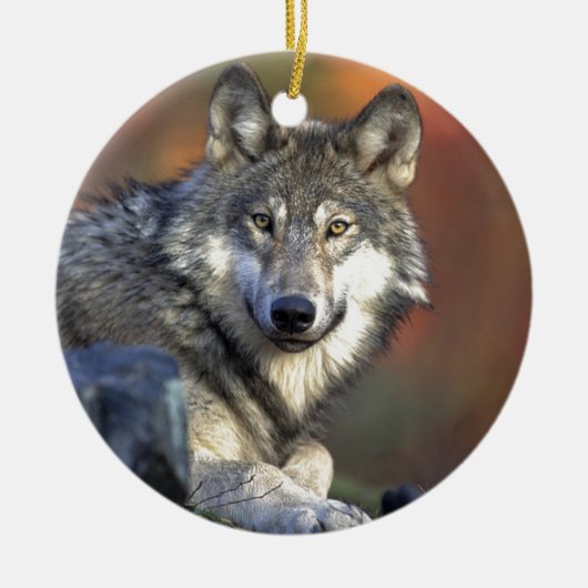 Grauer Wolf Keramikornament (Vorne)