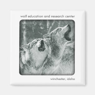 Grauer Wolf-Magnet Magnet