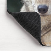 Grauer Wolf-Mauspad Mousepad (Ecke)